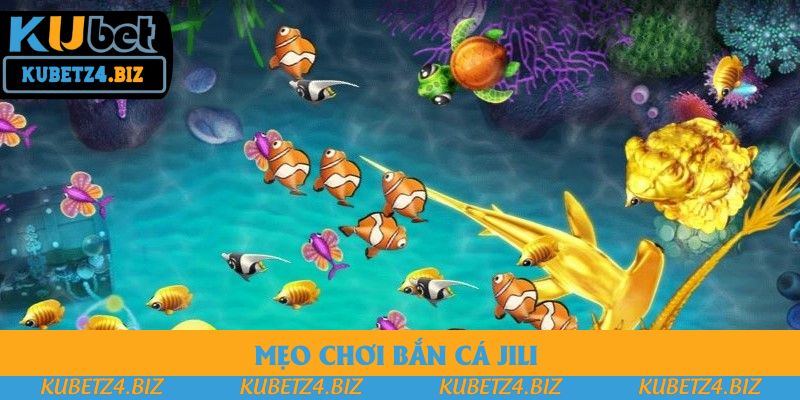 Bỏ túi bí quyết săn bắt cá hiệu quả Bỏ túi bí quyết săn bắt cá hiệu quả