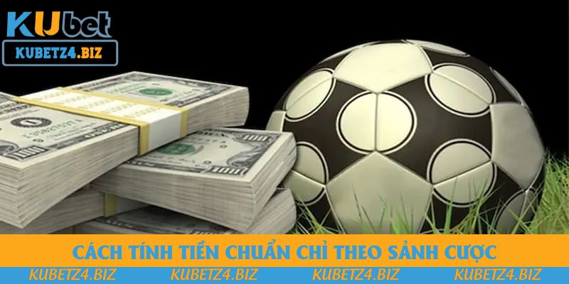 Cách tính tiền chuẩn chỉ theo sảnh cược Cách tính tiền chuẩn chỉ theo sảnh cược