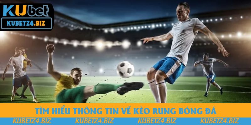 Tìm hiểu thông tin về kèo rung bóng đá Tìm hiểu thông tin về kèo rung bóng đá