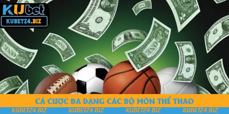 Cá cược đa dạng các bộ môn thể thao Cá cược đa dạng các bộ môn thể thao